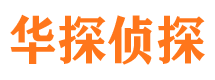 东丽侦探公司